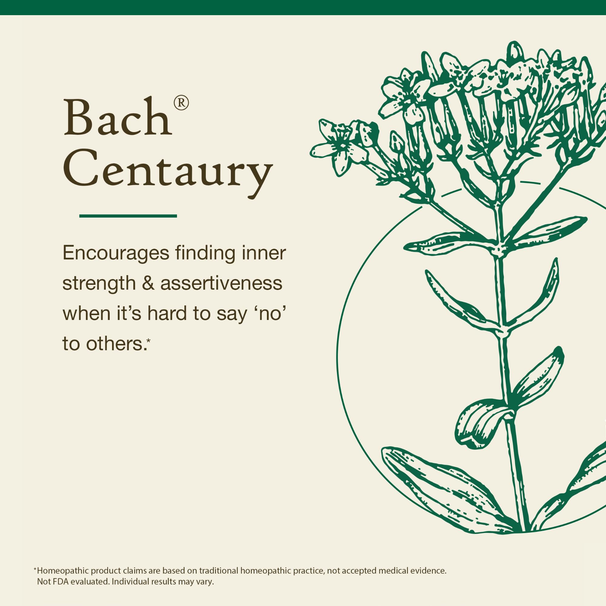 Close-up of Centaury liquid essence ready for daily routine.