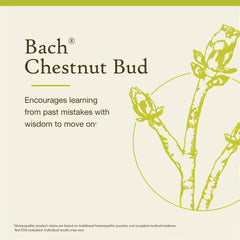 Bach Chestnut Bud Non-Alcohol label view highlights vegan-friendly formula.