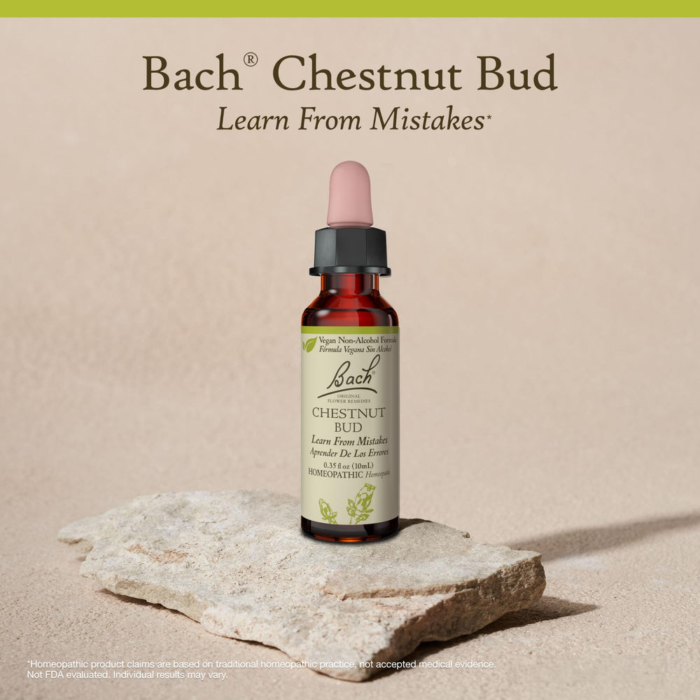 Bach Chestnut Bud Non-Alcohol packaging with dropper on display.