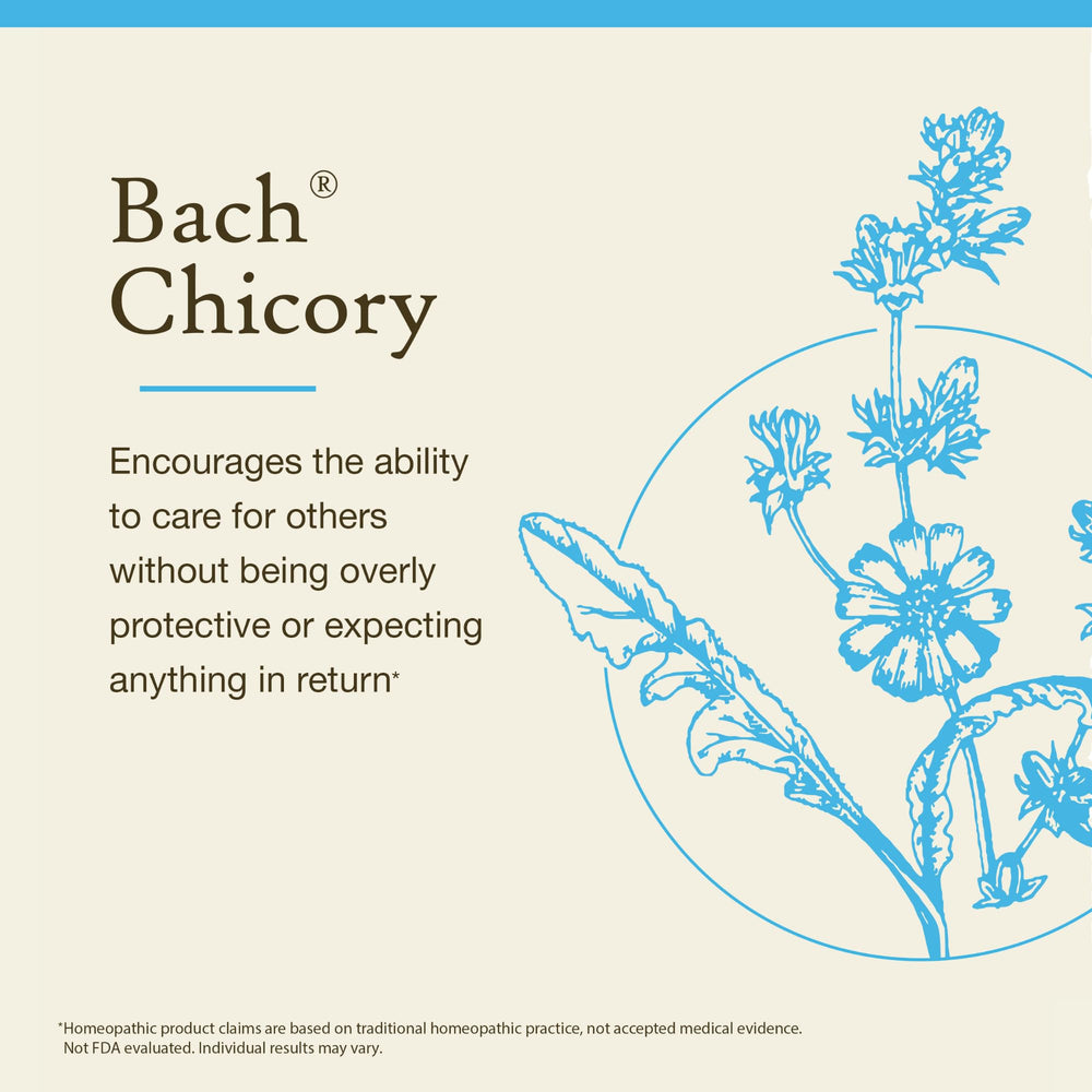 Bach Chicory essence bottle dropper provides gentle emotional balance and caregiving clarity