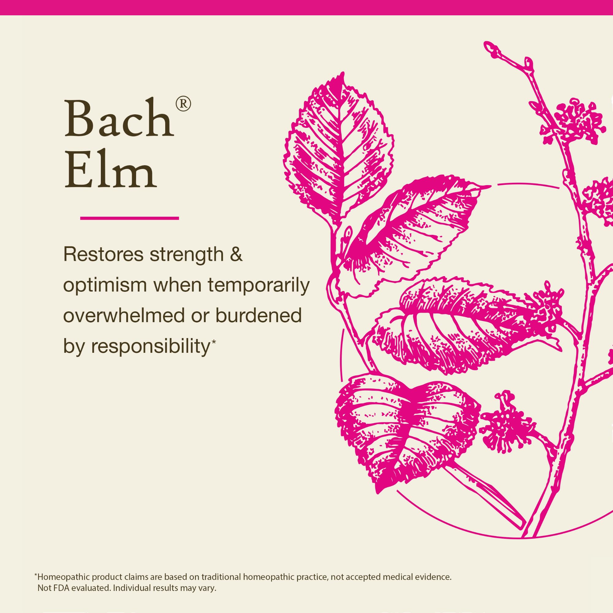 Bach Elm dropper in water demonstrates easy daily dosing.