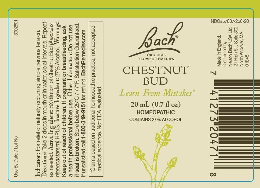 Bach Flower Remedies Walnut bottle supports adapting to change with steady focus.