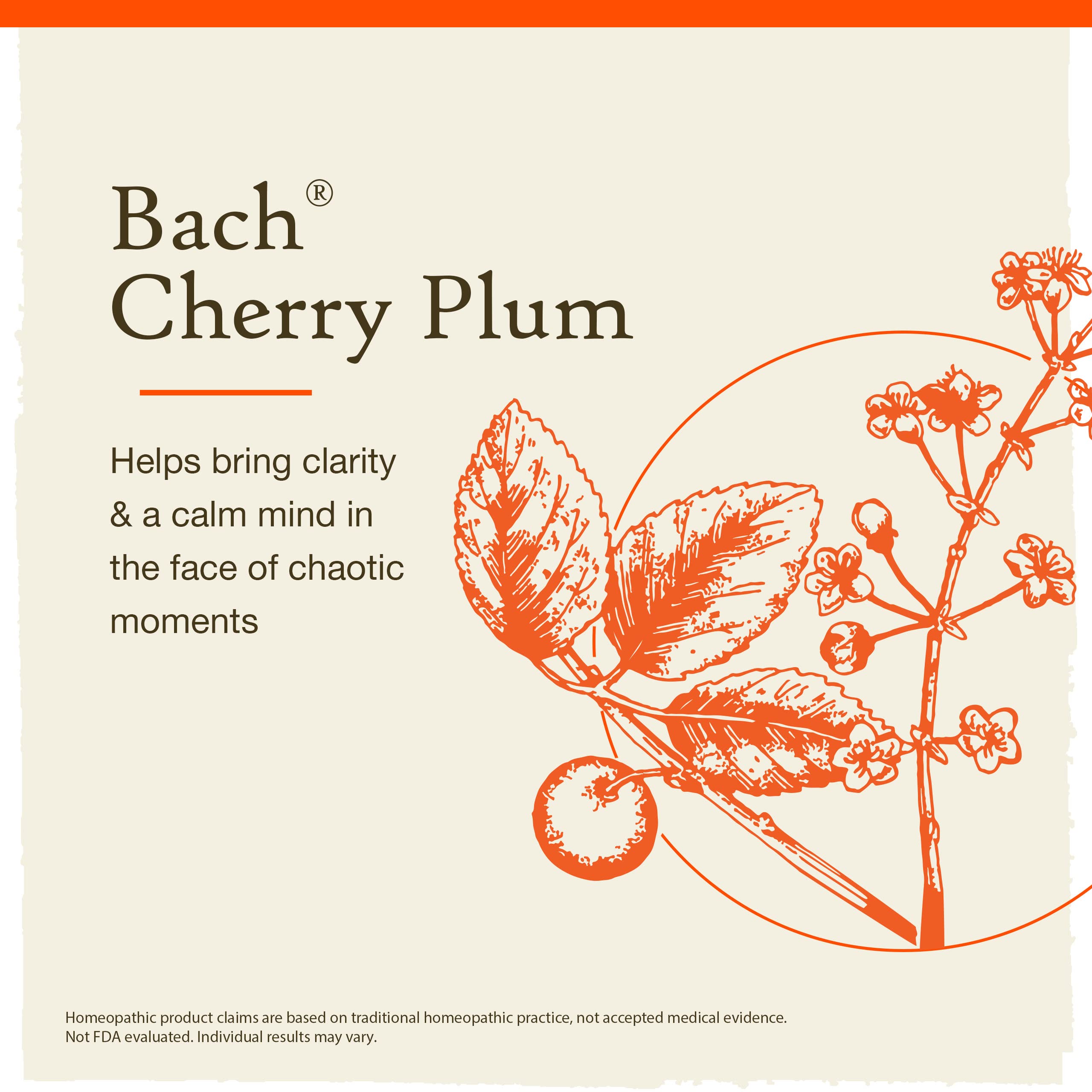 Cherry Plum bottle label close-up by Bach Flower Remedies