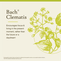 Bach Clematis bottle label highlights natural flower essences