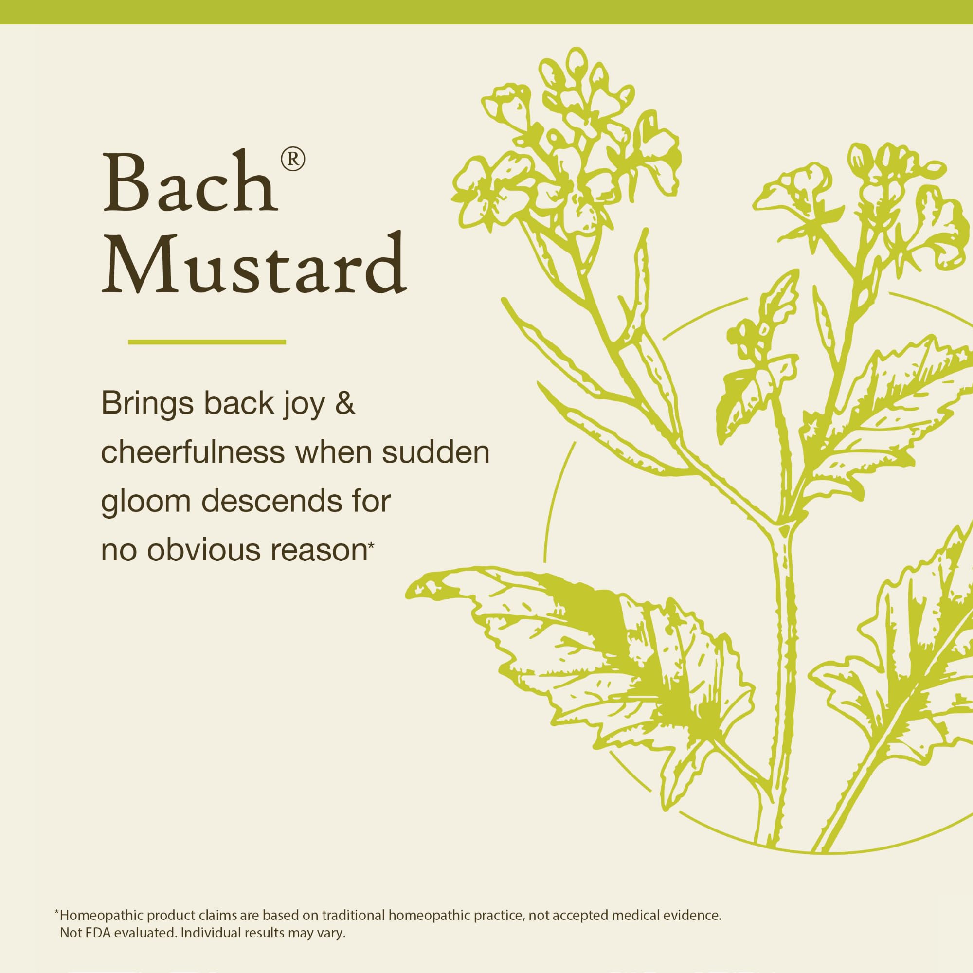 Bach Flower Remedies Mustard label shown, highlighting natural, gentle emotional support.