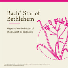Bach Flower Remedies Star of Bethlehem dropper application for easy under-tongue use.