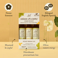 Three Bach Flower Remedies bottles with droppers for daily mood support.