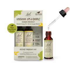 Packaging of Bach Flower Remedies Trio Kit for natural emotion balance.