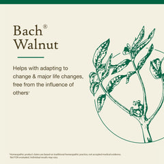 Bach Walnut label close-up—natural flower remedy for emotional balance.