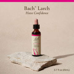 Bach Larch dropper application ready to use under the tongue for quick emotional balance.