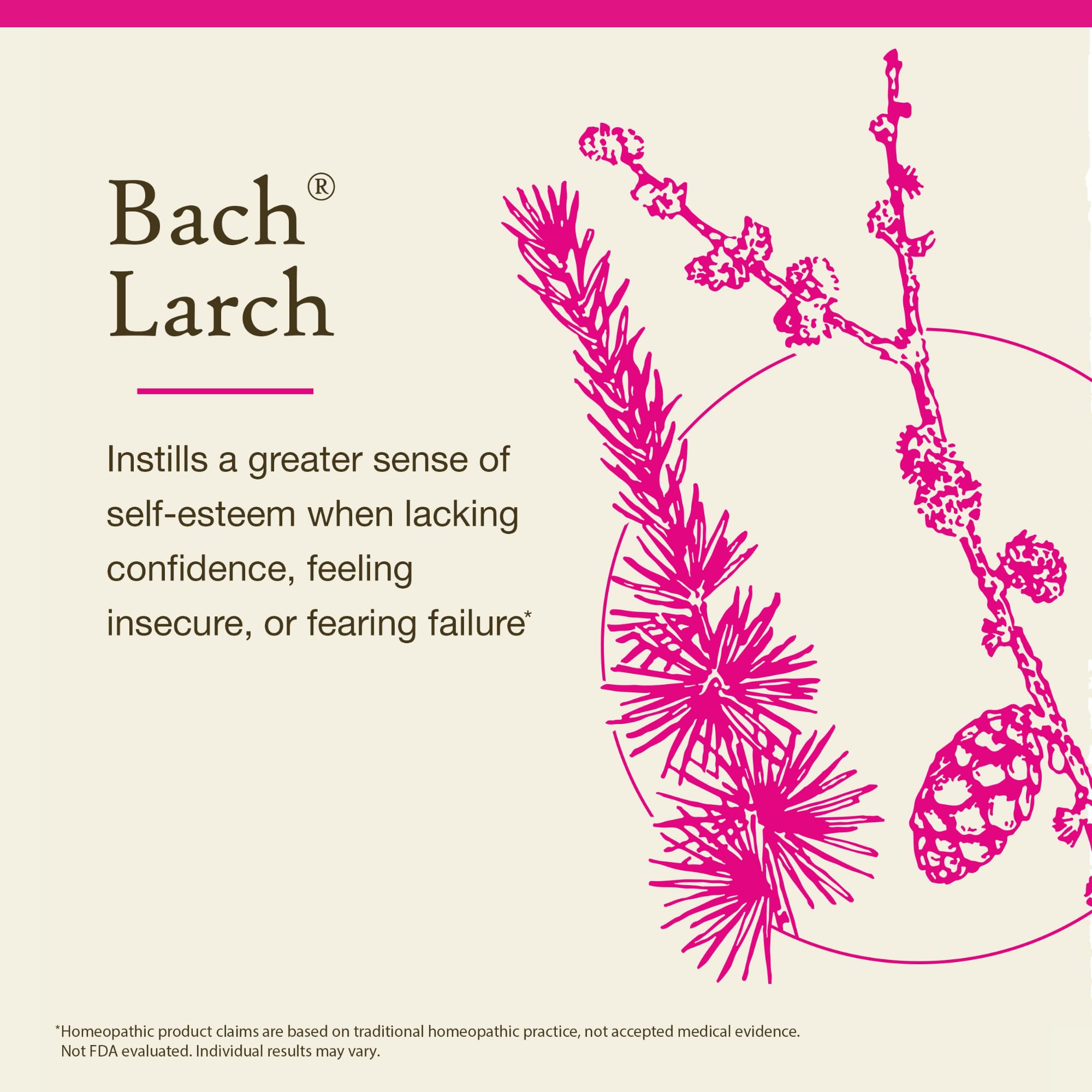 Bach Larch essence vial closeup of natural ingredients