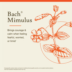 Bach Mimulus etiqueta frasco facilita identificar tu rutina emocional.
