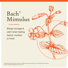 Mimulus under tongue application for discreet daily use.