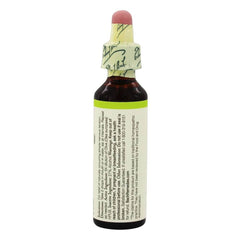 Bach Olive Flower Remedy drops close-up for easy daily dosing