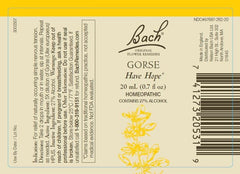 Bach Original Flower Remedies Gorse bottle helps renew faith and hope