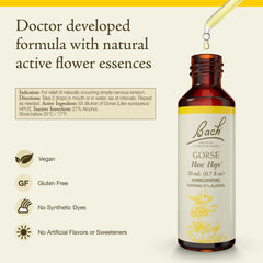 Close-up of Gorse drops from Bach remedies for emotional balance