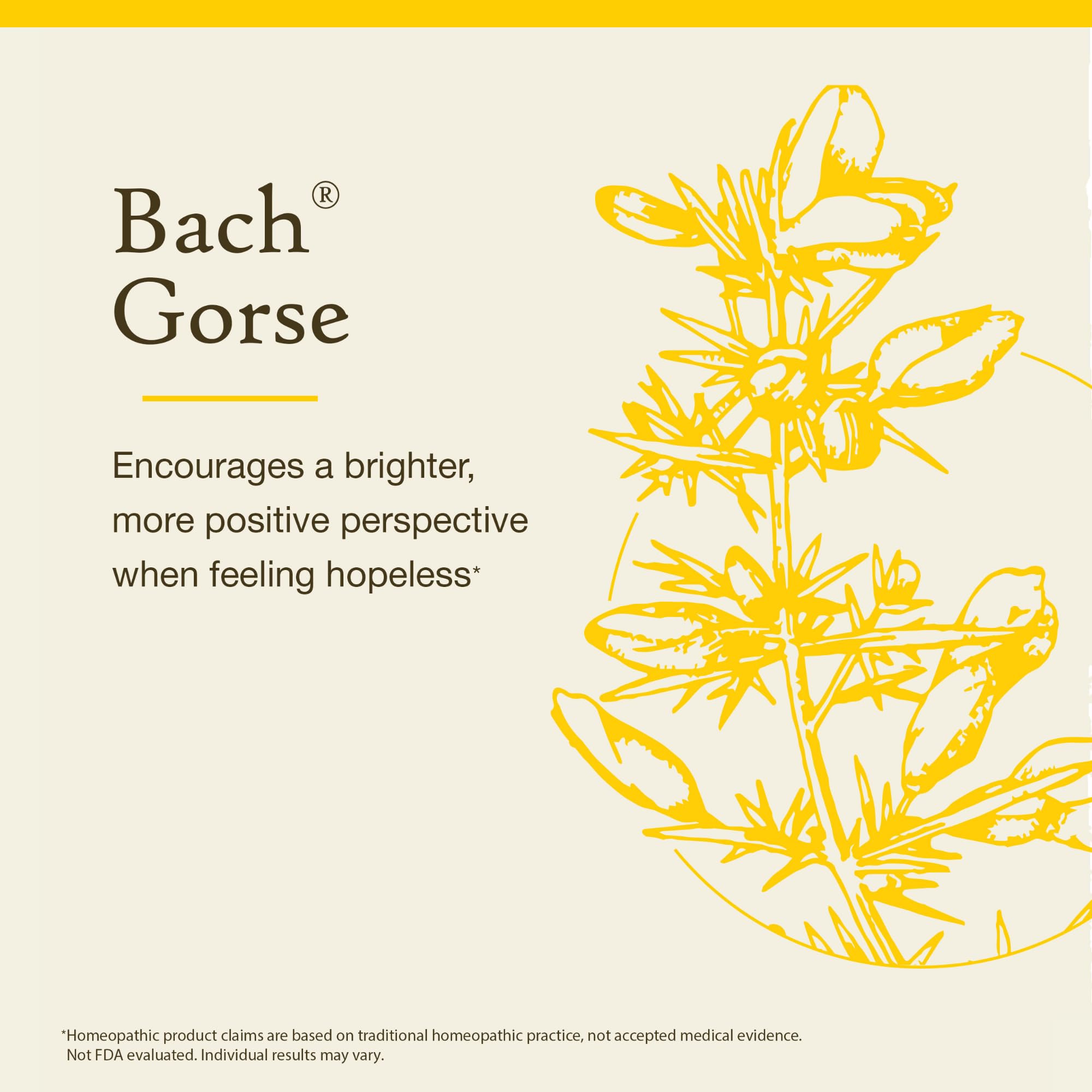 Gorse label on Bach remedies highlights vegan and gluten-free attributes.