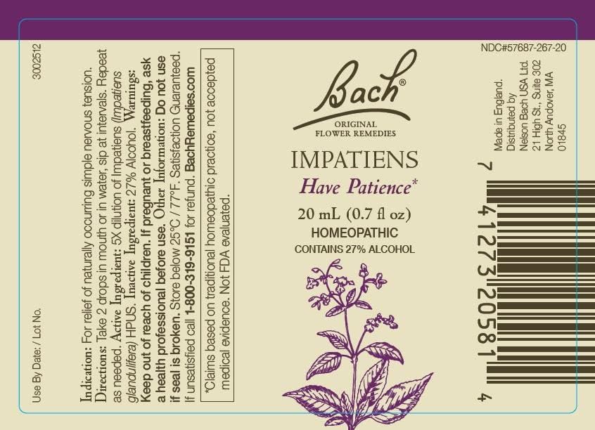 Bach Impatiens flower close-up highlighting patience-support potential