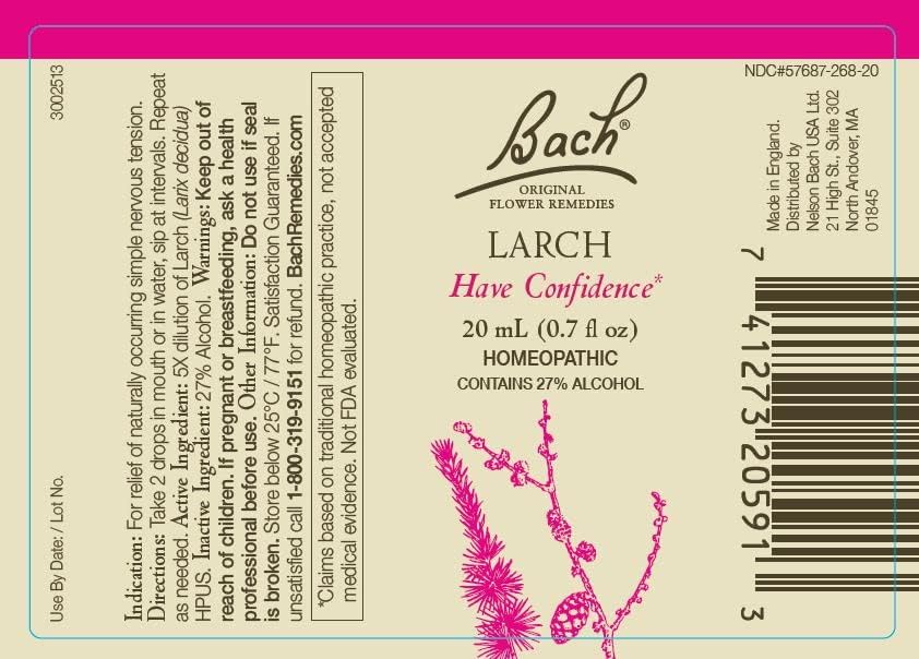 Bach Original Flower Remedies Larch bottle – boosts confidence for new situations.