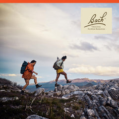 Bach Original Flower Remedies packaging highlights natural ingredients and heritage.