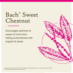 Label of Bach Original Flower Remedies Sweet Chestnut