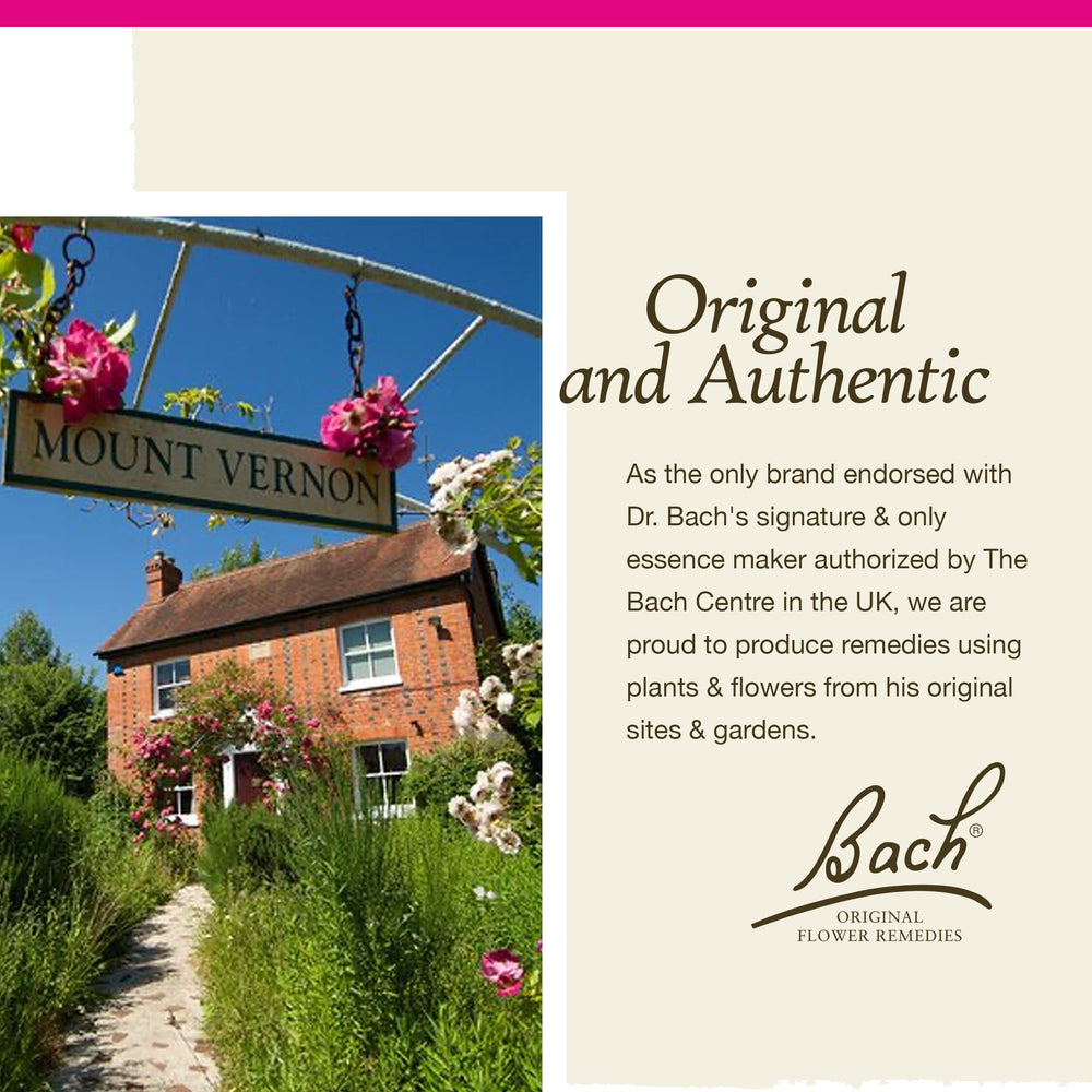 Styled image of Bach Sweet Chestnut for daily wellness