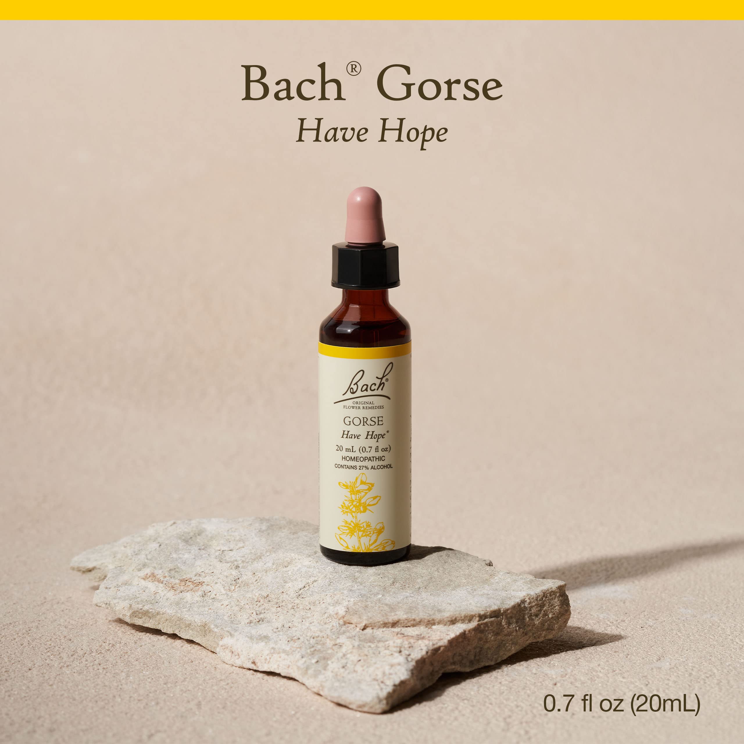 Close-up of the Gorse dropper dispensing Bach Original flower remedy daily.