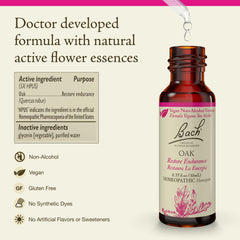 Bach Original Oak remedy drops ready for daily endurance support in your day.