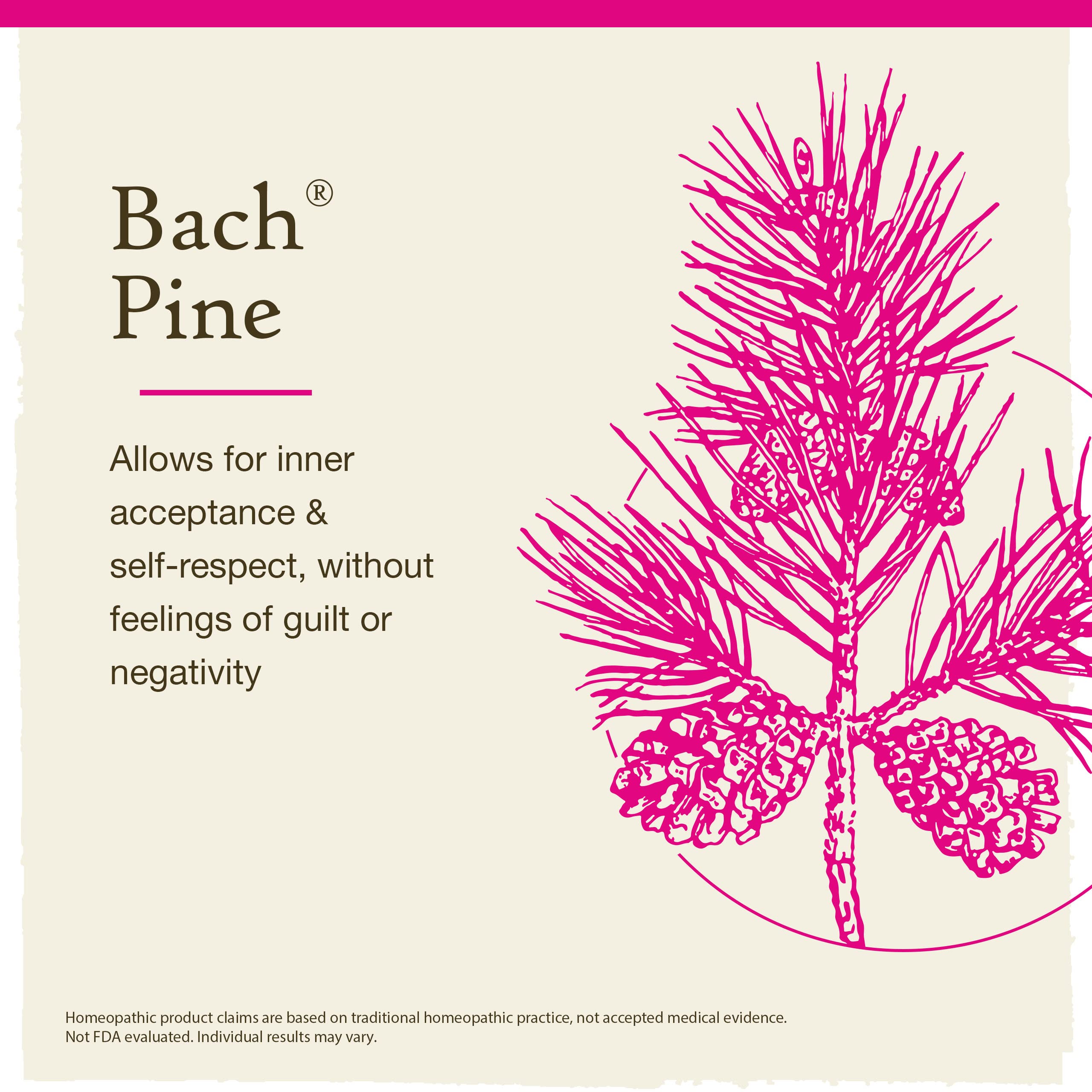 Bach Pine bottle label close-up highlighting 20ml size for portability