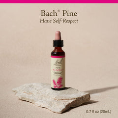 Bach Pine dropper application view showing easy daily use for mood support