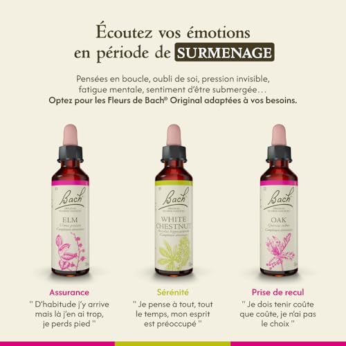Bach Remedies Oak dropper drops for easy under-the-tongue dosing