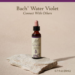 Bach Water Violet drops help relaxed conversations at gatherings.