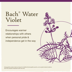 Bach Water Violet drops support warmer outreach to others.