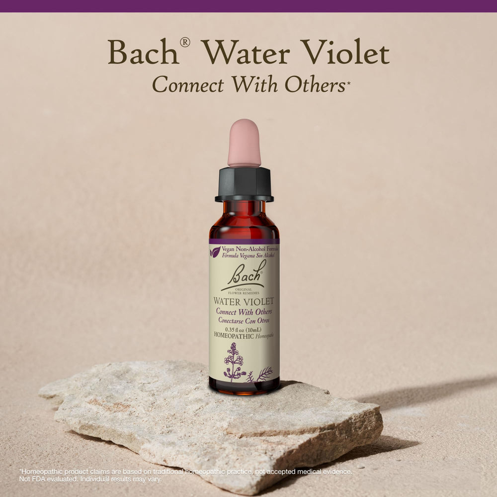 Bach Water Violet on a table amid a calm, social setting for everyday use.