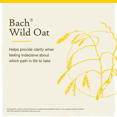 Bach Wild Oat label shows 1935 heritage for trusted, natural use.