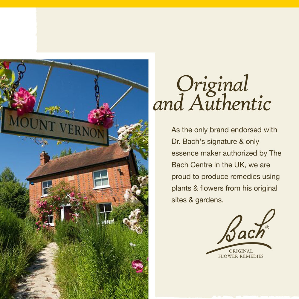 Bach Wild Oat origin sourcing highlights 1935 Bach Centre heritage.