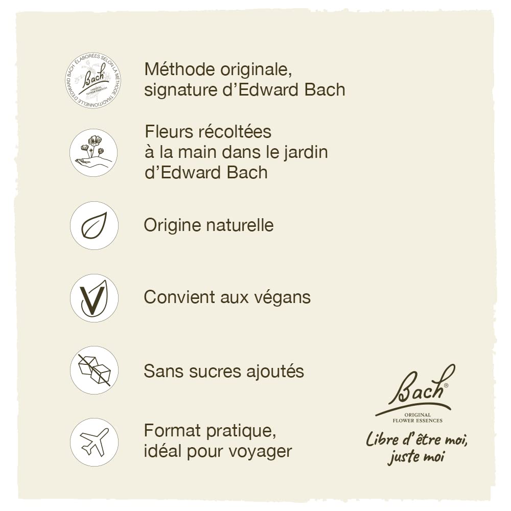 Bach Willow on a shelf suggests easy daily routine integration