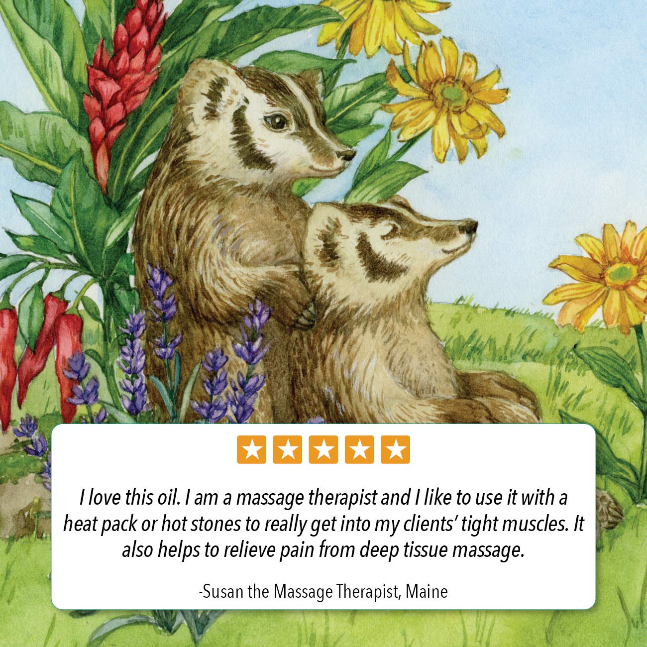 Badger Ginger Massage Oil cayenne warmth close-up highlighting heat and soothing effect.