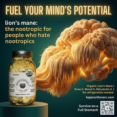 Baja North Mercantile Lion's Mane slices close-up showing natural texture for rehydration.