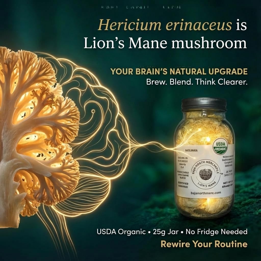 Baja North Mercantile Lion's Mane small-batch production for quality.