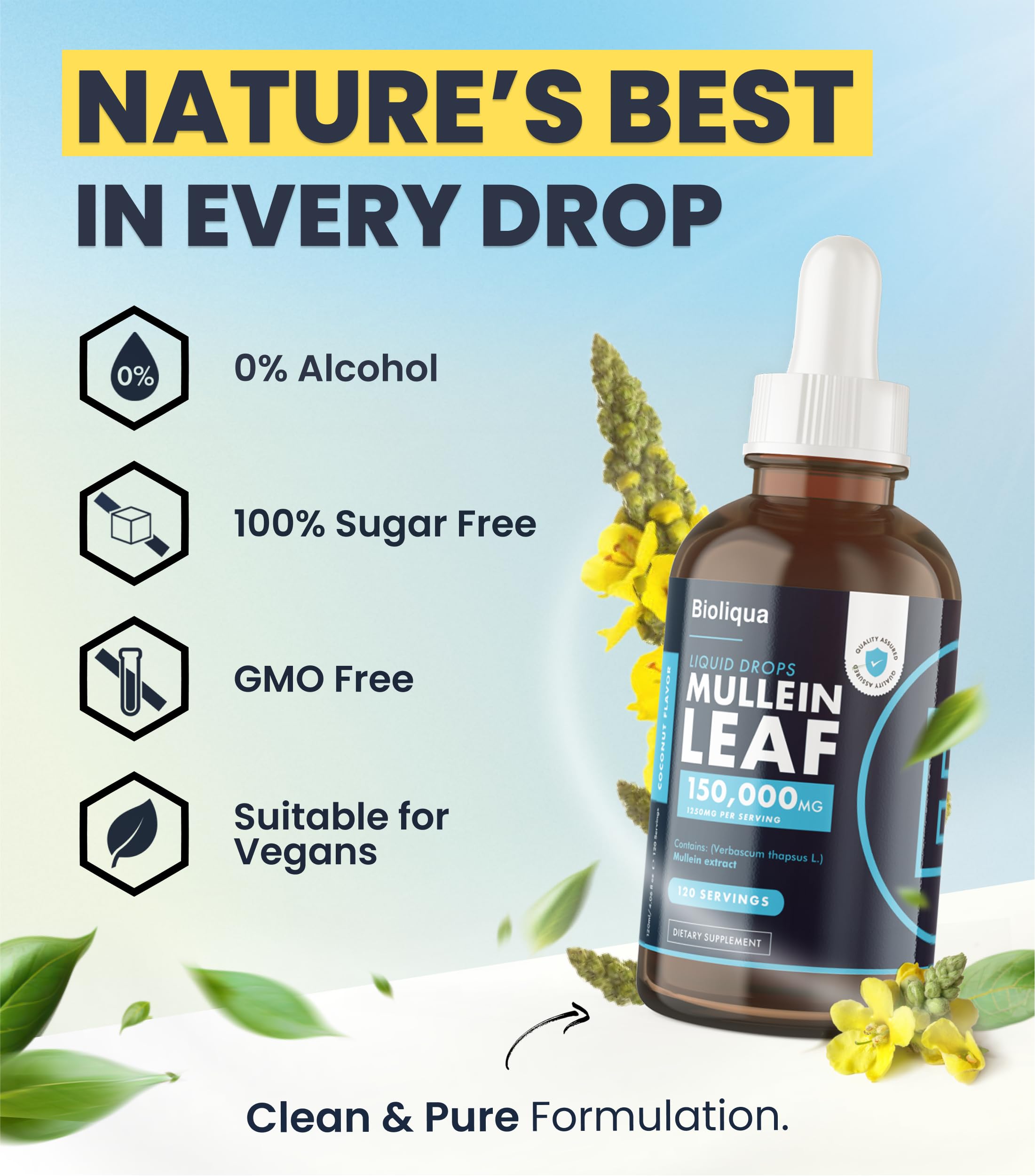 Balance Bioliqua Mullein Drops liquid close-up of clear tincture.