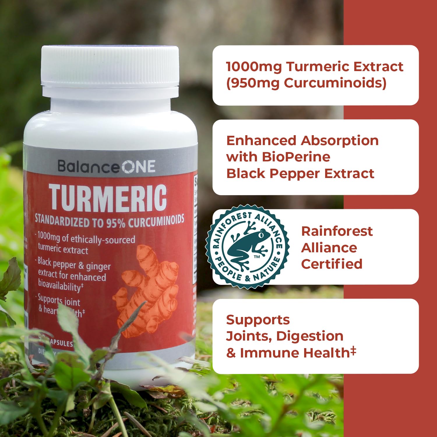 Balance ONE ginger extract capsule emphasizes natural joint support.