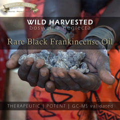 Balm of Gilead Frankincense Oil GCMS verification seal signals purity and quality