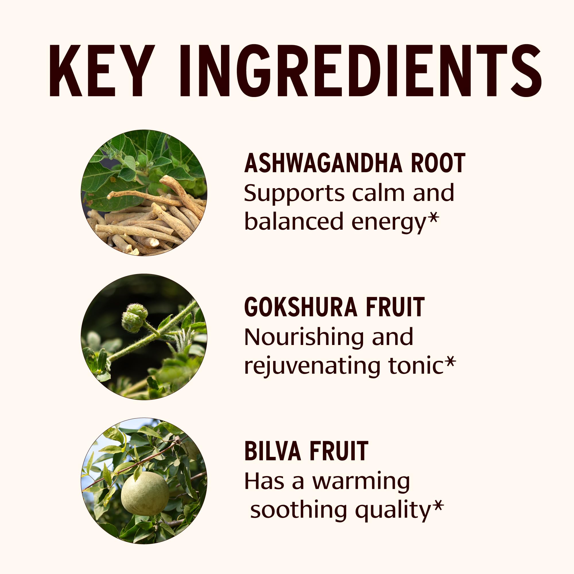 Banyan Botanicals organic ashwagandha herbs used in Dashamula Oil+