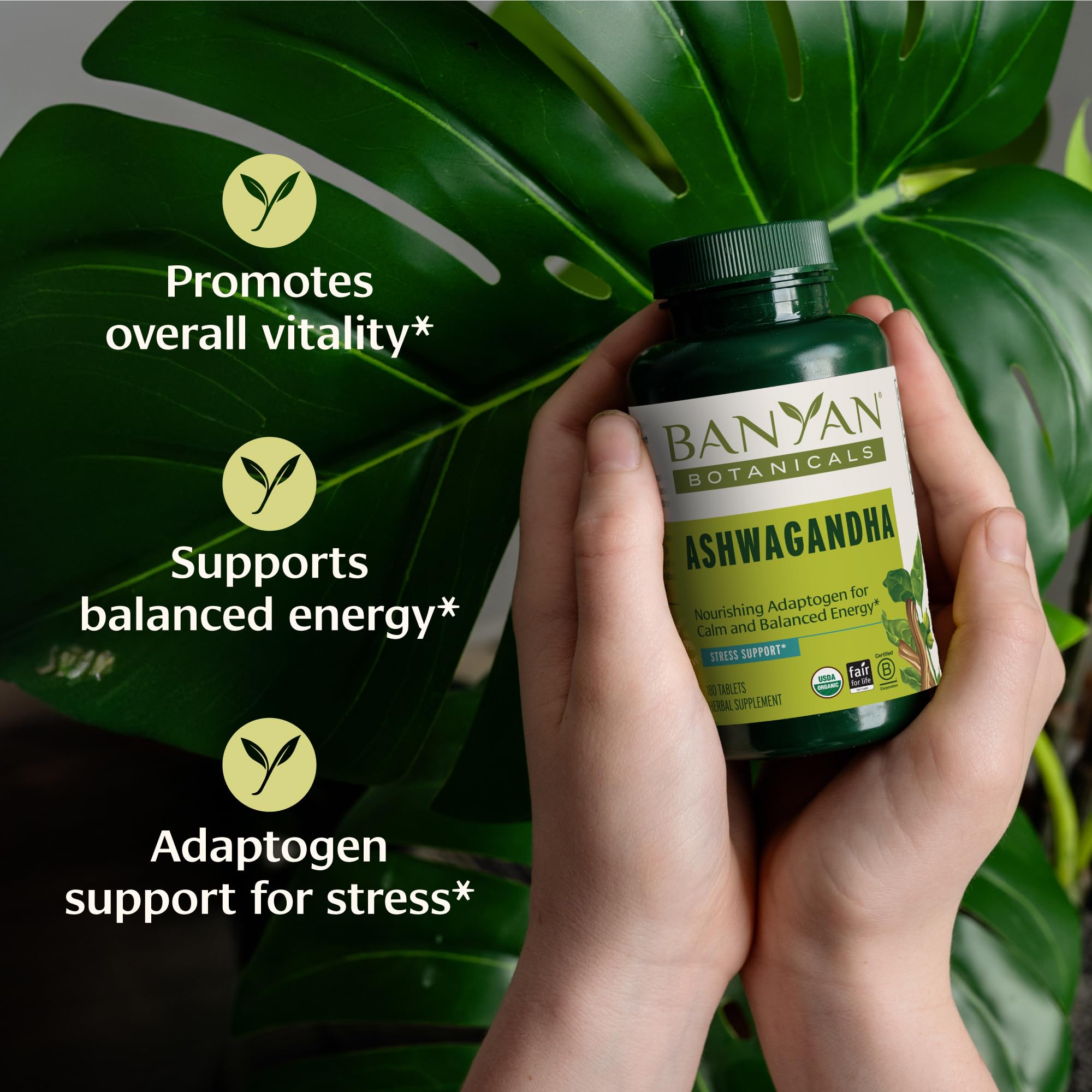 Banyan Botanicals Ashwagandha tablets label closeup highlights organic root and fair trade commitment