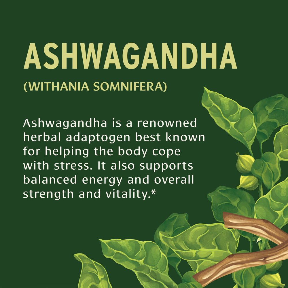 Banyan Botanicals Ashwagandha tablets on shelf highlighting sustainably sourced organic ingredients