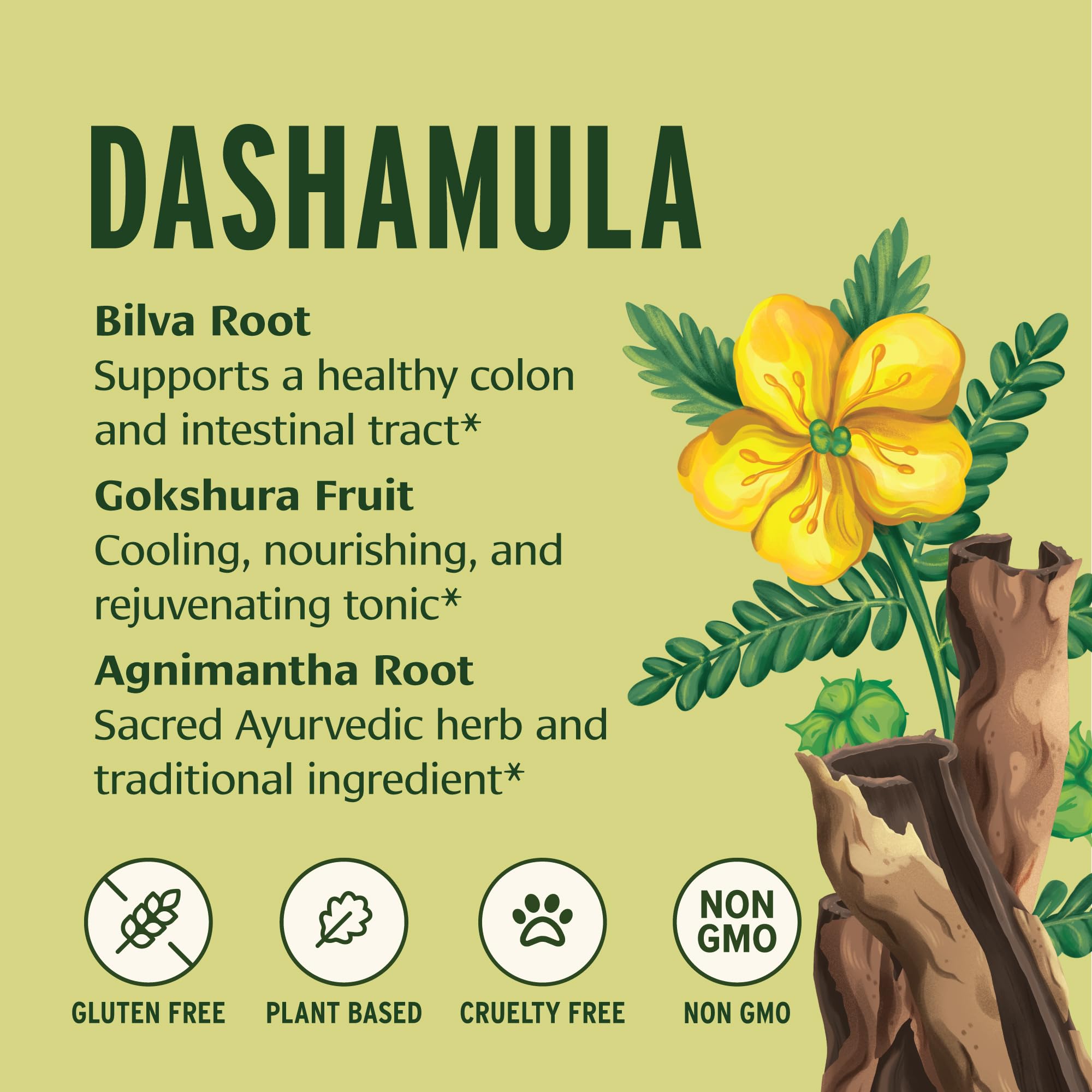 Dashamula powder closeup from Banyan Botanicals highlighting organic quality.