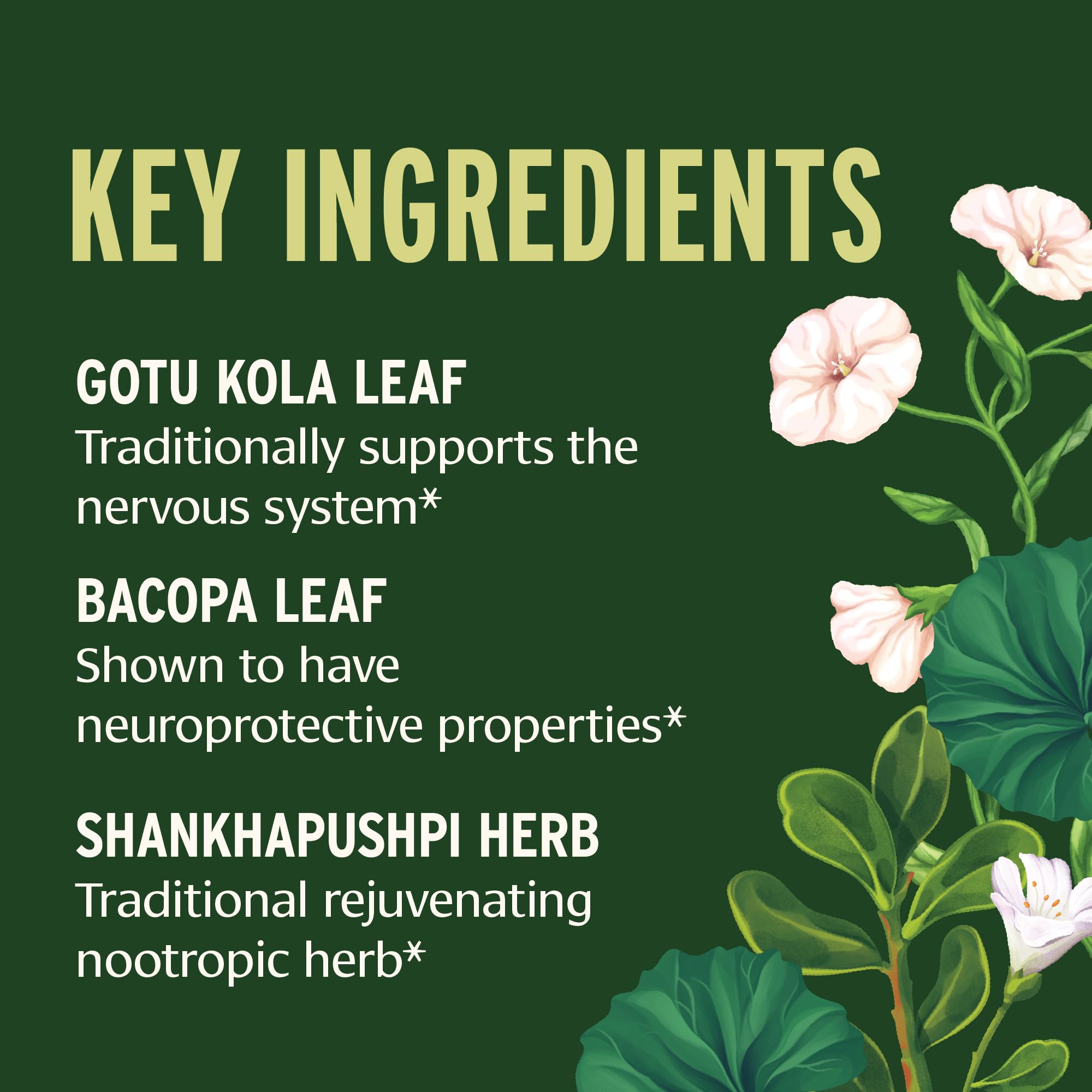 Banyan Botanicals Focus liquid amber bottle closeup highlighting alcohol-free formula.