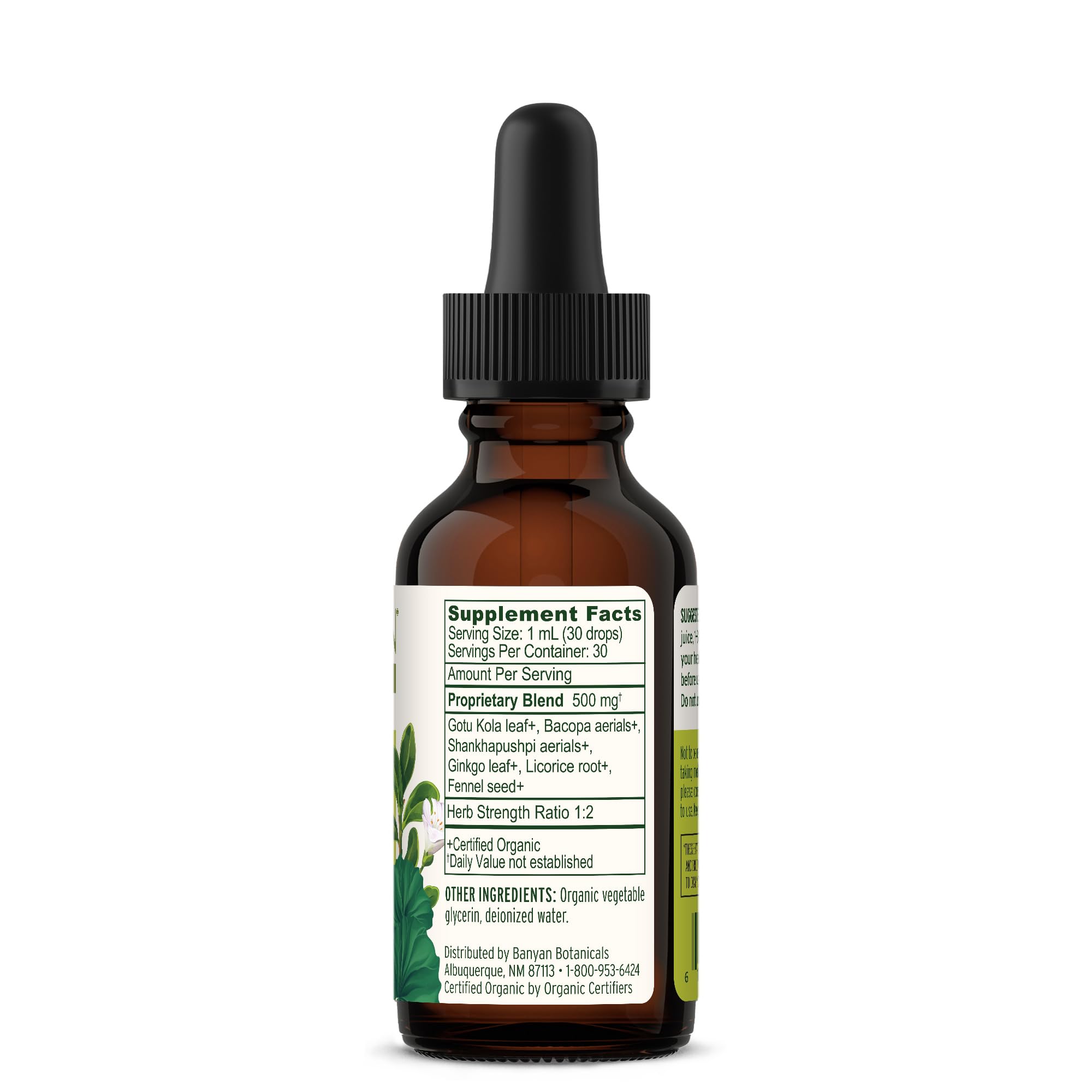 Banyan Botanicals Focus liquid in use scene showing calm focus during a busy day.