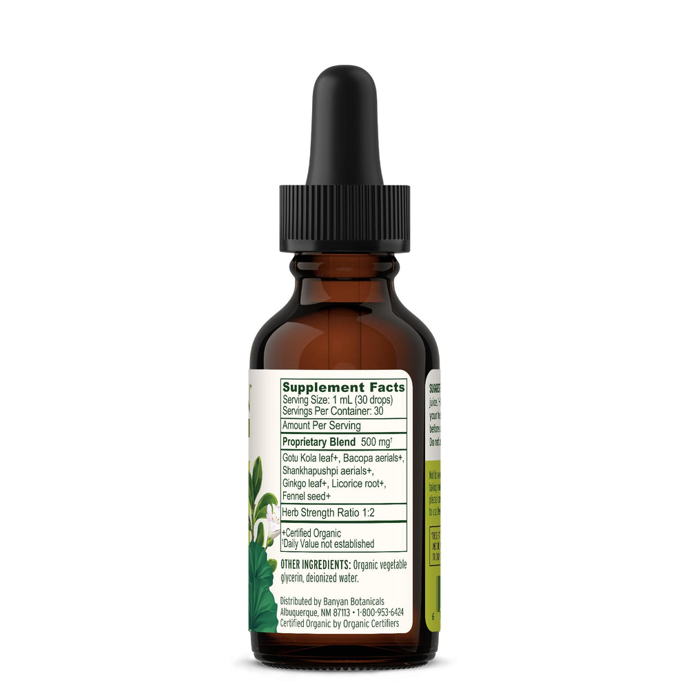 Banyan Botanicals Focus liquid in use scene showing calm focus during a busy day.